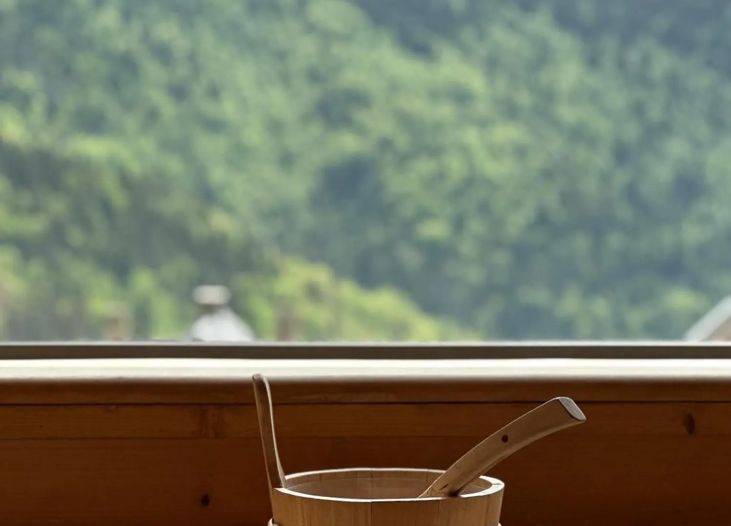 ****  Hotel Le V De Vaujany France
